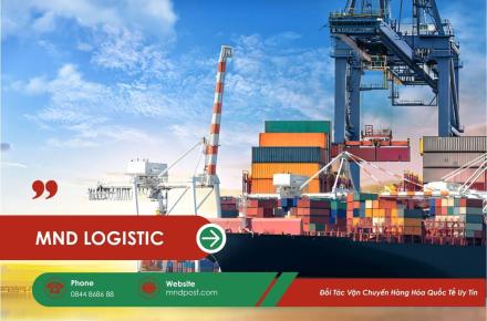 MND Logistics: Đối Tác Vận Chuyển Hàng Hóa Quốc Tế Uy Tín