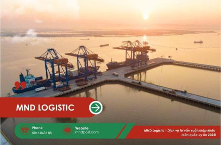 MND Logistic - Dịch vụ tư vấn xuất nhập khẩu toàn quốc uy tín 2025
