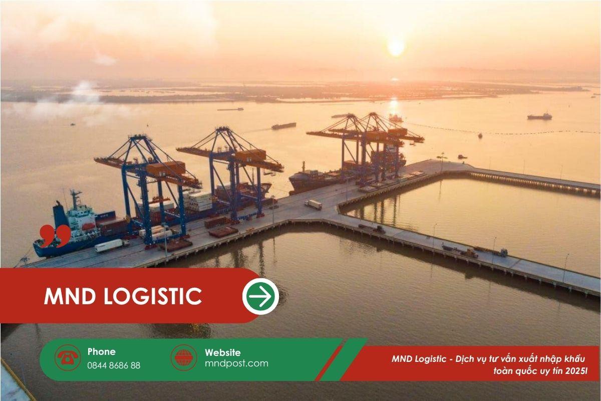 MND Logistic - Dịch vụ tư vấn xuất nhập khẩu toàn quốc uy tín 2025
