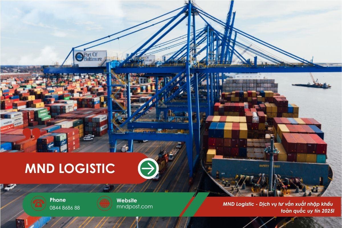 MND Logistic - Dịch vụ tư vấn xuất nhập khẩu toàn quốc uy tín 2025 (3)
