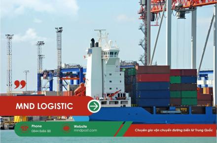 Vận Chuyển Đường Biển Từ Trung Quốc: Giải Pháp Tiết Kiệm và Hiệu Quả Cho Hàng Hóa Số Lượng Lớn Cùng MND Logistics