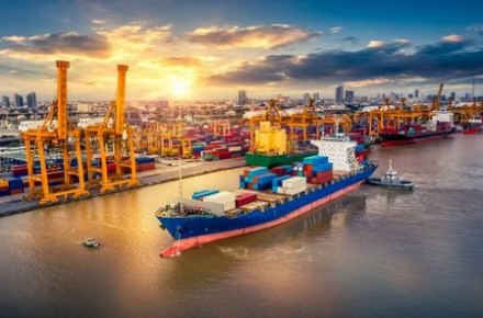 Resilient Supply Chains: Adapting to Modern Logistics